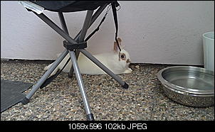 Name f�r "Nina"-02052011005.jpg