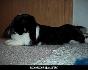 Mache mir etwas Sorgen-100_0623.jpg