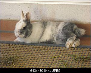 Mache mir etwas Sorgen-kr%FCmel-1-.jpg