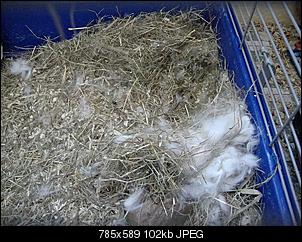 L�we oder Teddy?-dsc07785.jpg