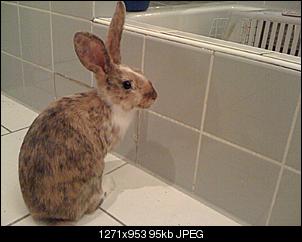 Was ist ES? Was auch immer, es ist s��! :)-img_1504.jpg