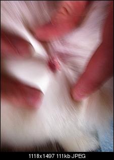 Hilfe Gaanz Dickes Hilfe!!-img_0402.jpg