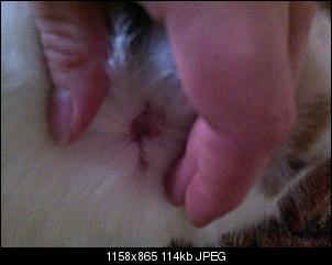 Hilfe Gaanz Dickes Hilfe!!-img_0405.jpg