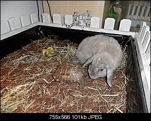 Brauche gro�e gro�e Hilfe :,(-sam_0911.jpg
