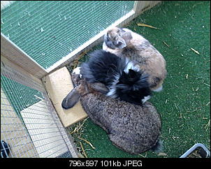 Babyalarm!!!!-09062011691.jpg