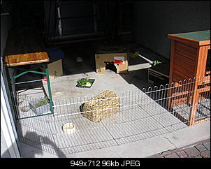 Brauchen dringend Hilfe...-pict0611.jpg