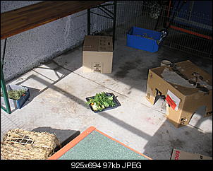 Brauchen dringend Hilfe...-pict0610.jpg