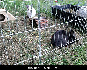 Nachbarskind-foto2375.jpg