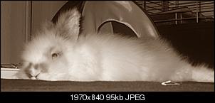Kleine Zwergwidderin-088.jpg
