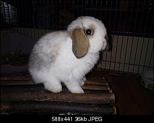 Junge Dame sucht Name!!!-dsc01331kleiner.jpg