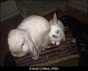 Junge Dame sucht Name!!!-dsc01324kleiner.jpg