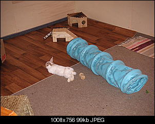 Soll ich helfen? Was danach?-pict0804.jpg