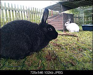 Sie sind daaaa!!! Nun noch ein paar Fragen :)-imag0311.jpg