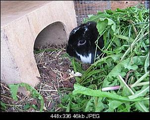 Fr��������hst�cksbilder :)-img_5344.jpg