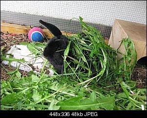 Fr��������hst�cksbilder :)-img_5347.jpg
