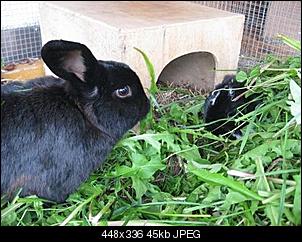 Fr��������hst�cksbilder :)-img_5353.jpg