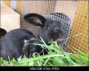 Fr��������hst�cksbilder :)-img_5361.jpg