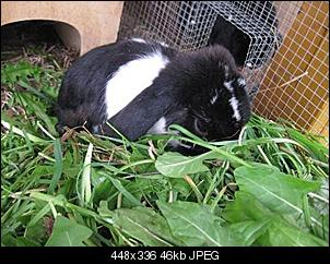 Fr��������hst�cksbilder :)-img_5362.jpg