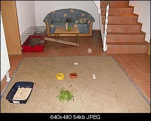 Artgerecht?-k-cimg0567.jpg