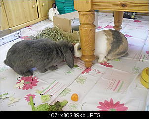 Positive VG-Berichte-cimg1248.jpg