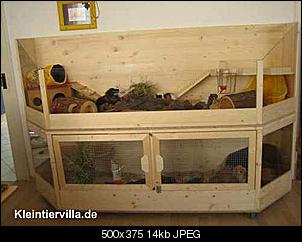2 Tage alte Kanninchenbabys...-16000_preview.jpg