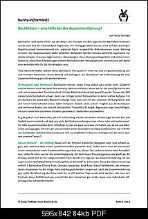 Vergesellschaftung Rambo und Felix-bachblueten-zur-vergesellschaftung.pdf