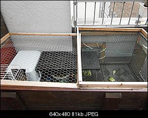 Mini-K�ttel-pict0055-klein-.jpg