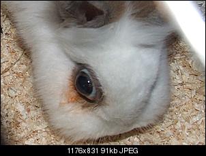 Das Auge dr�ckt sich vor-dscf2057.jpg