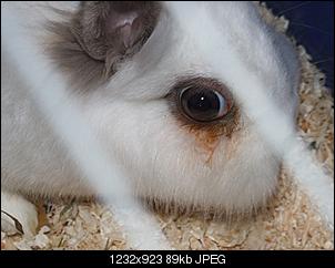 Das Auge dr�ckt sich vor-dscf2058.jpg