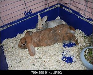 E.C. was nun?-dscn1120.jpg