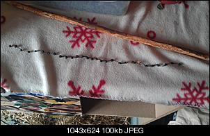 starker haarausfall mit k�ttelketten-imag0319.jpg