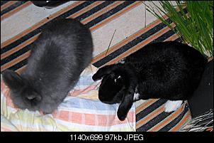 gewicht-sdc10683.jpg