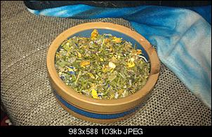 J�hrlich das selbe Spiel - Bauchgluggern-imag0882-283612205.jpg