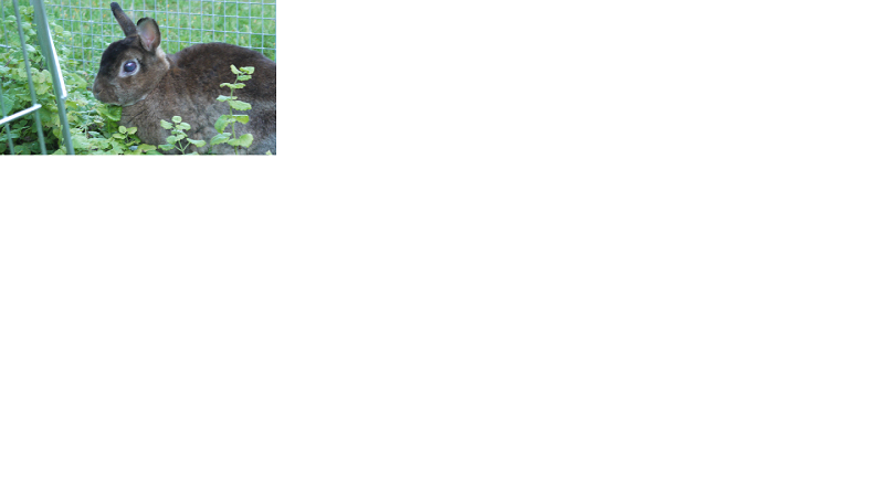 Name:  Unbenannt.png
Hits: 873
Gr��e:  83,3 KB