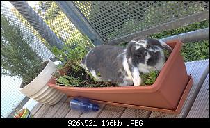 Pl�tzlicher Tod - Atemnot - unfassbar-21092011356.jpg