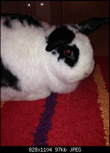 Klicke auf die Grafik f�r eine gr��ere Ansicht

Name:	059.jpg
Hits:	1438
Gr��e:	96,9 KB
ID:	25697