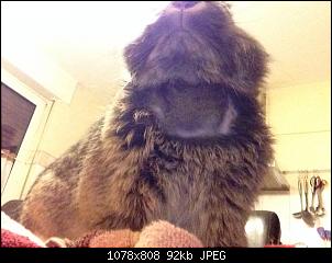 Klicke auf die Grafik f�r eine gr��ere Ansicht

Name:	image.jpg
Hits:	1281
Gr��e:	92,3 KB
ID:	27033
