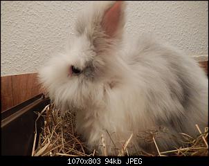 Weniger Haare im Nacken-dscn2664.jpg