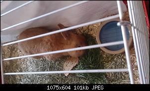 HILFE! Wer kennt es?-dsc_0526.jpg
