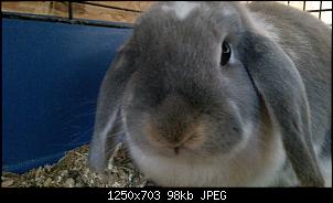 Fees Nase ist orange-20140319_115133.jpg