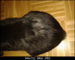 Haarausfall?!-20140801_210917.jpg