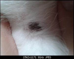 Klicke auf die Grafik f�r eine gr��ere Ansicht

Name:	20140918_163849.jpg
Hits:	105
Gr��e:	91,1 KB
ID:	33721