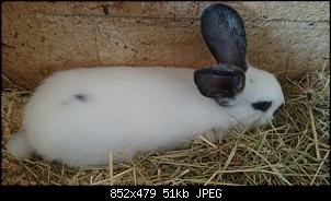 Klicke auf die Grafik f�r eine gr��ere Ansicht

Name:	2015032518420600.jpg
Hits:	1064
Gr��e:	50,5 KB
ID:	37287