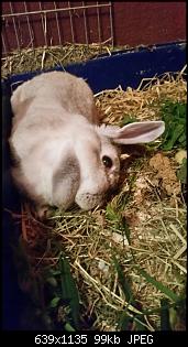 Yuki hat E.C.-2015-04-23-21.07.02.jpg