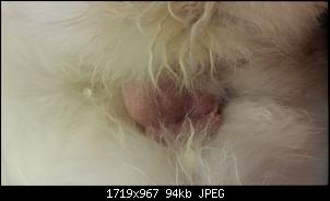 Klicke auf die Grafik f�r eine gr��ere Ansicht

Name:	20150505_202834.jpg
Hits:	358
Gr��e:	94,1 KB
ID:	38521
