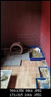 Und pl�tzlich hat sie E.C.-2015-07-20-20.25.49.jpg