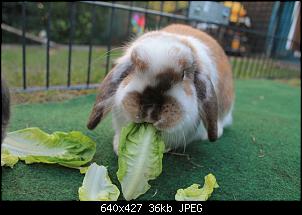 Was hat unser Sammy?-sammy.jpg