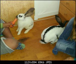 V�llig ratlos!!!-picsart_08-20-02.04.23.jpg