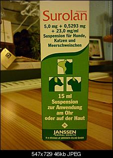Was kann das sein?-p1040239.jpg