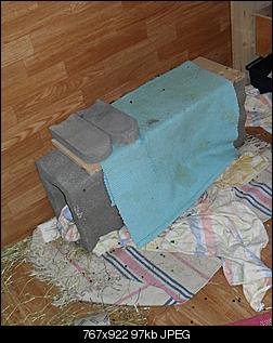 Scheinschwangerschaft-sdc11449.jpg